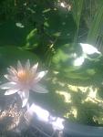    
: Фото0614.jpg
: 7
:	79.6 
ID:	6417274