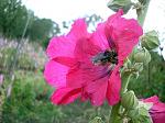     
: qRuCmPDqWE4.jpg
: 6
:	50.2 
ID:	6418204