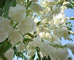     
: G0PT4C_DC78.jpg
: 5
:	51.5 
ID:	6418207