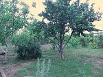     
: DSCF4104.jpg
: 32
:	155.1 
ID:	6419023