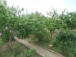     
: DSCF4106.jpg
: 33
:	134.8 
ID:	6419024