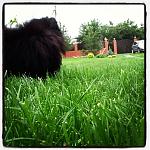     
: IMG_1306.JPG
: 17
:	199.8 
ID:	6420916