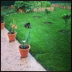     
: IMG_1304.JPG
: 19
:	191.5 
ID:	6420917