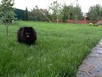     
: IMG_1222.jpg
: 19
:	95.9 
ID:	6420918