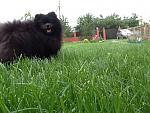     
: IMG_1225.jpg
: 41
:	102.1 
ID:	6420919