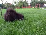     
: IMG_1223.jpg
: 15
:	107.8 
ID:	6420921
