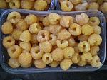     
: P6231177.jpg
: 45
:	163.3 
ID:	6421936