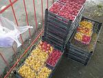     
: P6231176.jpg
: 40
:	192.5 
ID:	6421937