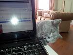     
: 2013-06-25 11.12.33.jpg
: 16
:	129.3 
ID:	6422285