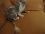     
: IMG_1040.jpg
: 22
:	76.1 
ID:	6424333