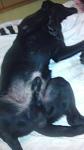     
: IMAG0595.jpg
: 20
:	39.3 
ID:	6426344