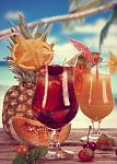     
: xsSfMSo0Jow.jpg
: 1
:	60.9 
ID:	6427019