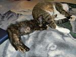     
: EnD1rOBQ_0g.jpg
: 5
:	124.8 
ID:	6427248