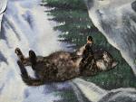     
: jcjVlMswKSE.jpg
: 2
:	177.3 
ID:	6427252
