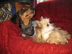     
: IMG_3959.jpg
: 6
:	156.9 
ID:	6430962