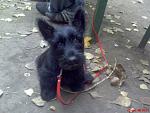     
: DSC00091.jpg
: 47
:	70.7 
ID:	643236