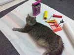     
: 22062013908.jpg
: 7
:	146.2 
ID:	6434803