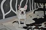     
: DSC_0059.jpg
: 7
:	100.9 
ID:	6436161