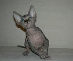     
: DSCN4732.JPG
: 10
:	92.2 
ID:	6436480