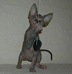     
: DSCN4735.JPG
: 8
:	82.2 
ID:	6436481