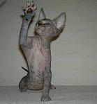     
: DSCN4724.jpg
: 10
:	74.3 
ID:	6436482