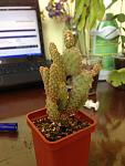     
: IMG_0333.jpg
: 3
:	73.9 
ID:	6439270