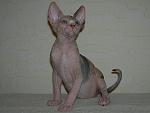     
: DSCN4771.JPG
: 23
:	79.6 
ID:	6440103