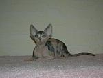     
: DSCN4661.JPG
: 26
:	84.2 
ID:	6440109
