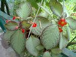     
: 30062013270.jpg
: 4
:	176.6 
ID:	6444324