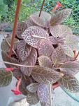     
: 30062013278.jpg
: 3
:	126.4 
ID:	6444327