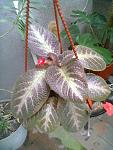     
: 30062013292.jpg
: 3
:	108.2 
ID:	6444338