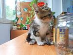     
: DSCN0537.jpg
: 13
:	129.0 
ID:	6448680