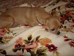     
: DSC02149.JPG
: 8
:	124.4 
ID:	6450341