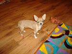     
: DSC02120.JPG
: 12
:	112.7 
ID:	6450343