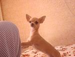     
: DSC02452.JPG
: 12
:	101.8 
ID:	6450344