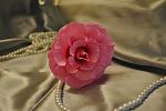     
: DSC_1561.jpg
: 6
:	94.3 
ID:	6452152