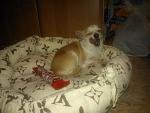     
: pMKeYkdWXPE.jpg
: 16
:	42.6 
ID:	6456666