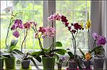     
: DSC_0394.jpg
: 6
:	138.9 
ID:	6464398