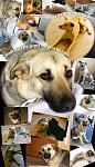     
: tucha+belka.jpg
: 57
:	111.3 
ID:	6465940