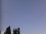     
: IMG636.jpg
: 19
:	47.0 
ID:	6475632