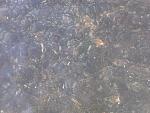     
: IMG639.jpg
: 18
:	125.0 
ID:	6475633
