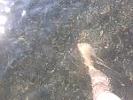     
: IMG651.jpg
: 17
:	139.7 
ID:	6475635