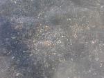     
: IMG638.jpg
: 16
:	122.4 
ID:	6475638