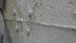     
: IMAG0474.jpg
: 14
:	160.3 
ID:	6475797