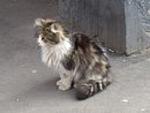     
: cwn3gpN0yi4.jpg
: 15
:	23.3 
ID:	6476499