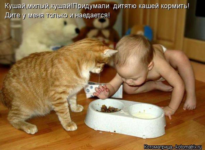     
: 1369967219_01.jpg
: 9
:	50.1 
ID:	6476658