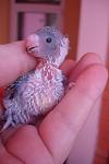     
: DSC03368.jpg
: 11
:	49.2 
ID:	6478548