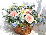     
: 3567d0b4.jpg
: 11
:	101.8 
ID:	6480239