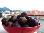     
: IMG_1198.JPG
: 10
:	123.1 
ID:	6480546
