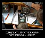     
: image.jpg
: 12
:	77.2 
ID:	6482842